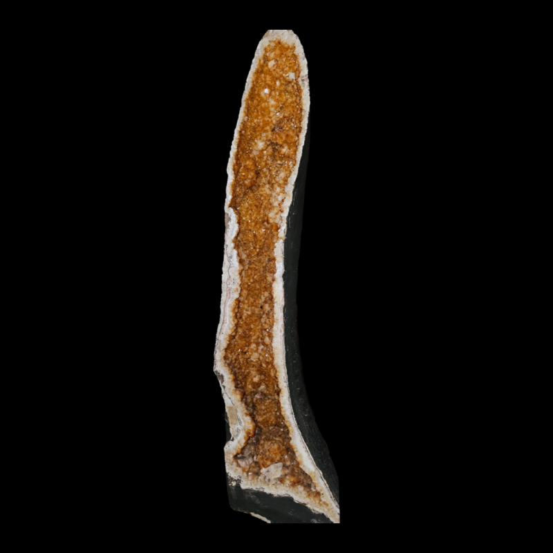 geood_tsitriin_1001018169.1.PNG