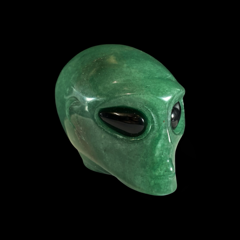 Tulnuka pea_aventuriin, obsidiaan_1001010543.1..PNG
