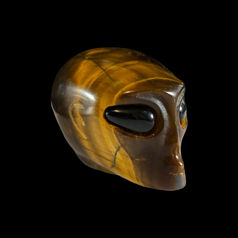 Tulnuka pea_tiigrisilm, obsidiaan_1001010578.1.PNG