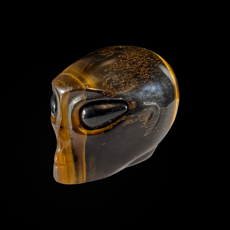 Tulnuka pea_tiigrisilm, obsidiaan_1001010578.3.PNG