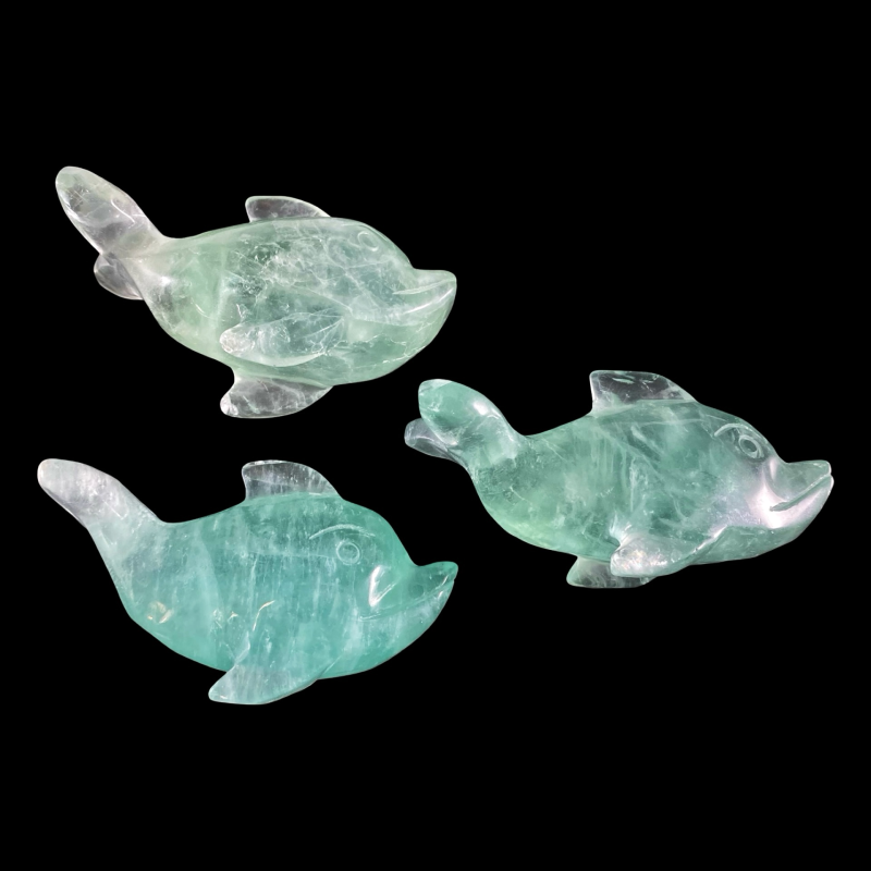 Delfiin_fluoriit_6001001145.3.png
