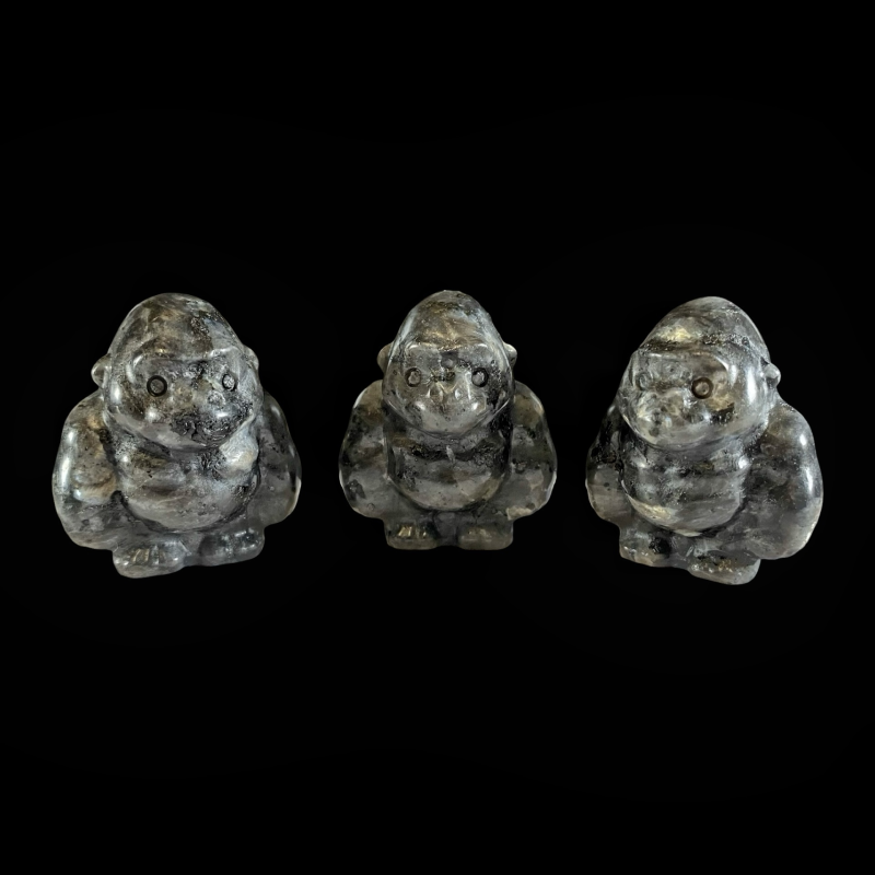 Gorilla_larvikiit_6001001162.2.png