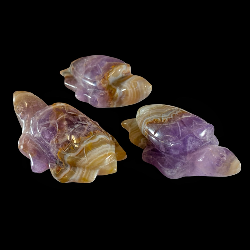 Kilpkonn_ametüst, ahhaat_6001001026.3.PNG