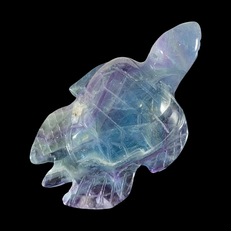 Kilpkonn_fluoriit_6001001027.9.PNG