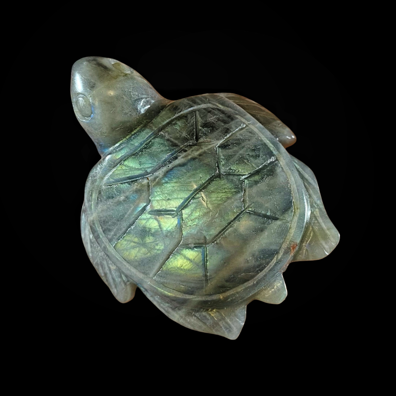 Kilpkonn_labradoriit_6001001090.1.PNG