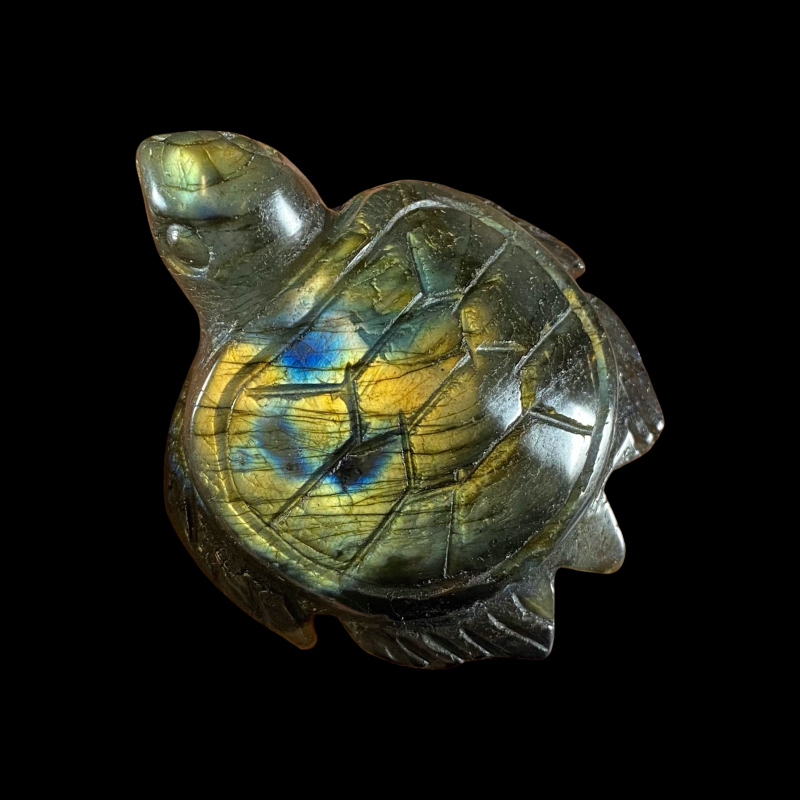Kilpkonn_labradoriit_6001001090.2.PNG