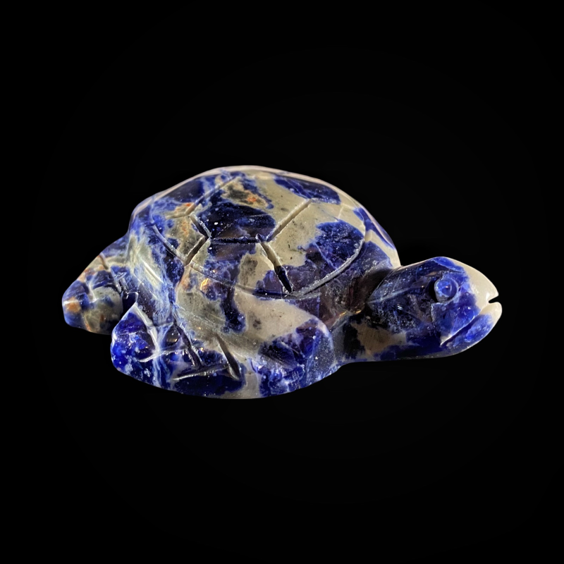 Kilpkonn_sodaliit_6001001046.2.PNG