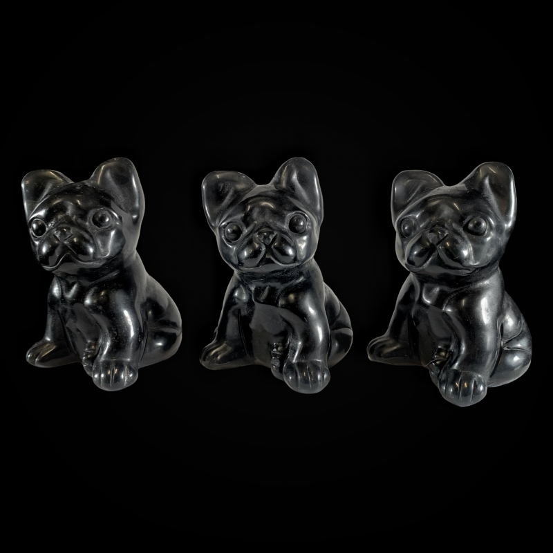 Koer bulldog_obsidiaan_6001001092.2.png