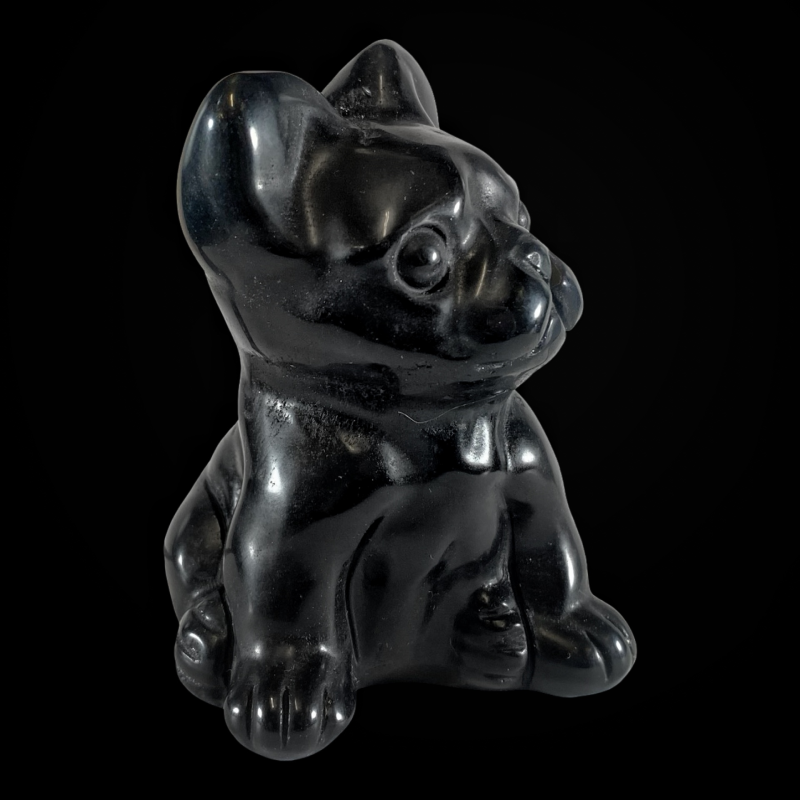 Koer bulldog_obsidiaan_6001001092.3.png