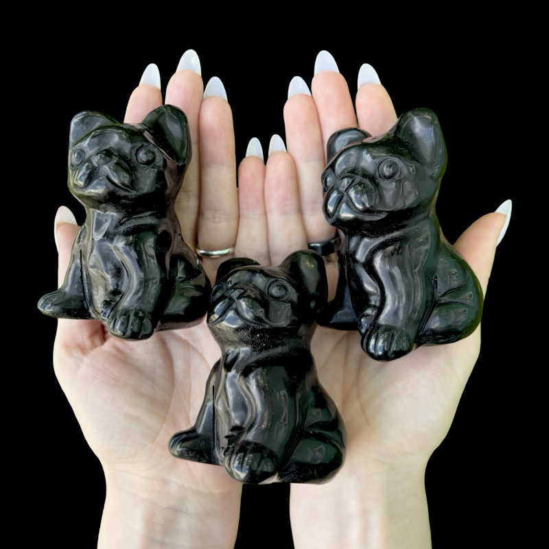 Koer bulldog_obsidiaan_6001001092.4.png