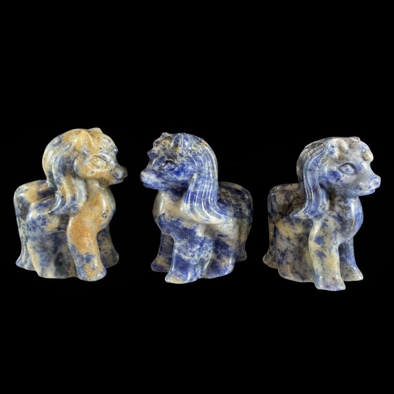 Poni_sodaliit_6001001087.2.png