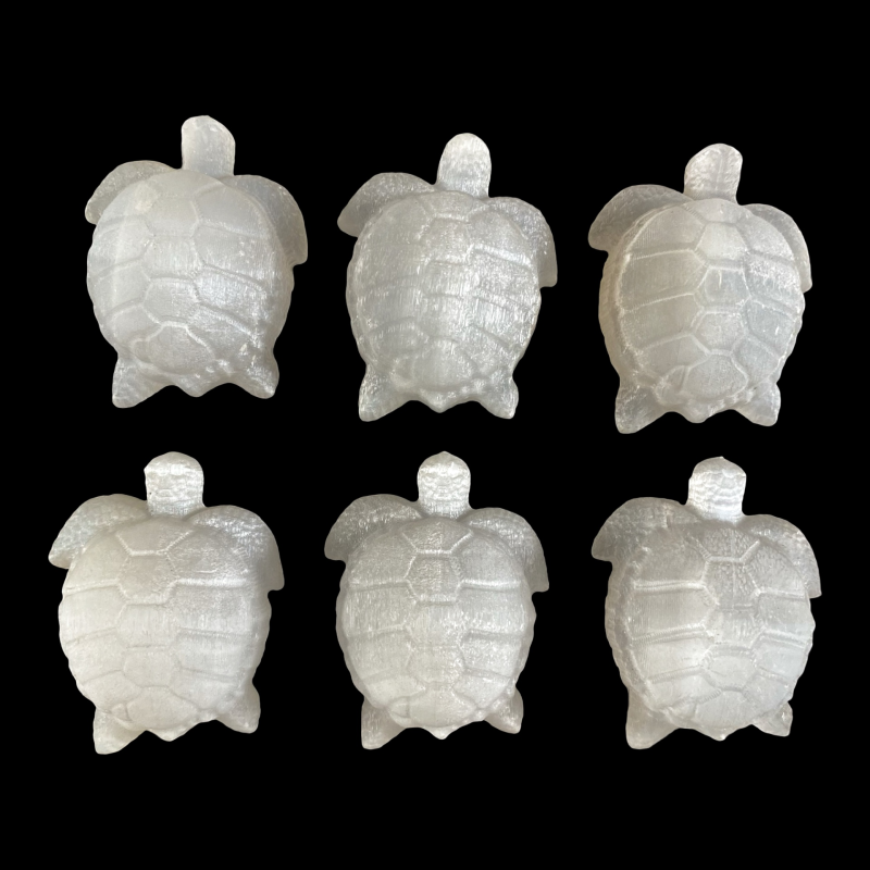 Seleniit_kilpkonn_6001001131.3(1).png