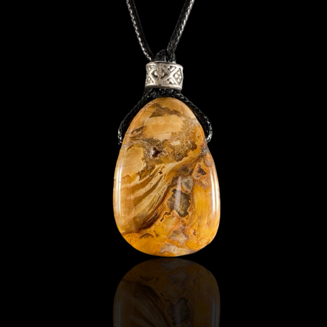 Ripats - kivistunud puu