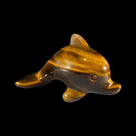 Delfiin - tiigrisilm