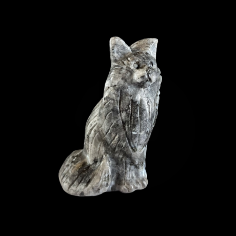 Kass Maine Coon - larvikiit 