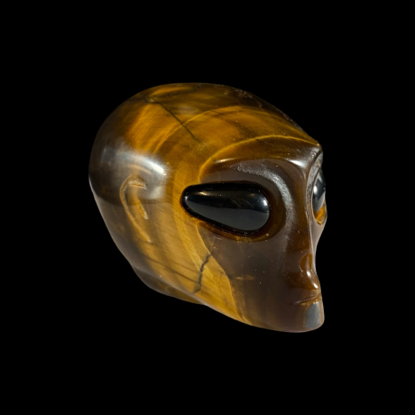 Tulnuka pea - tiigrisilm, obsidiaan