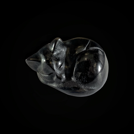 Kass - hõbeobsidiaan