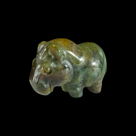 Jõehobu - sammalahhaat 