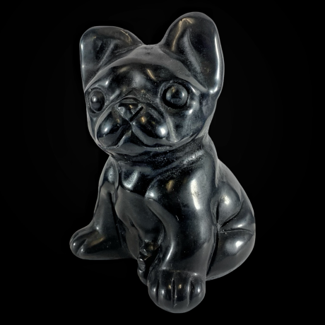 Koer bulldog - obsidiaan 