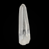 lk.lemuuria_seemnekristall.1001019727L1.1.PNG