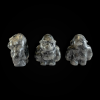 Gorilla_larvikiit_6001001162.3.png