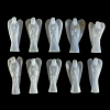 Ingel_angeliit_6001001005.3.PNG