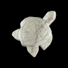 Kilpkonn_hauliit_6001001048.1.PNG