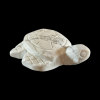 Kilpkonn_hauliit_6001001048.2.PNG