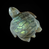 Kilpkonn_labradoriit_6001001090.1.PNG