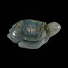 Kilpkonn_labradoriit_6001001090.5.png