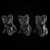 Koer bulldog_obsidiaan_6001001092.2.png