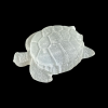 Seleniit_kilpkonn_6001001131.1.png