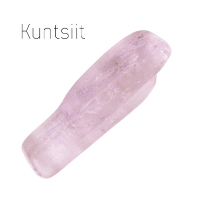 Kuntsiit