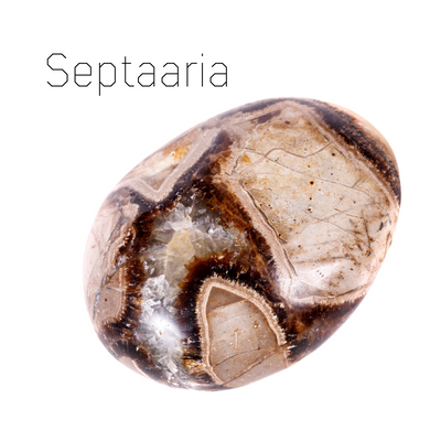 septaaria