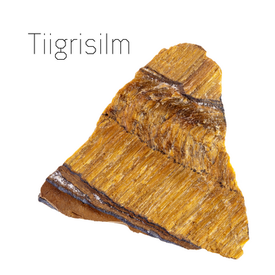 tiigrisilm