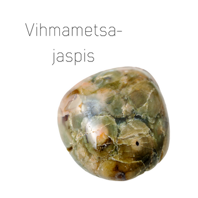 vihmametsajaspis